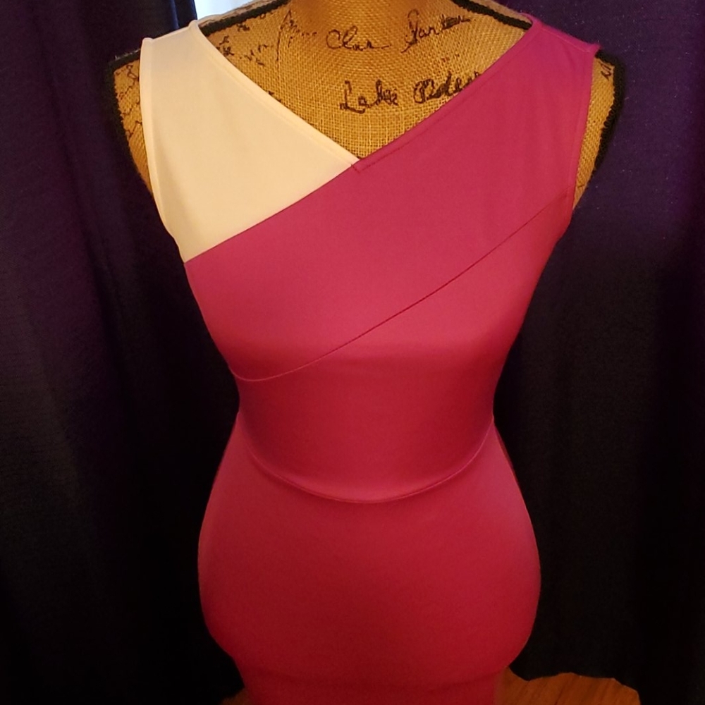 New bodycon dress with tags!